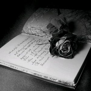 Meet your Posher, Dr. catt